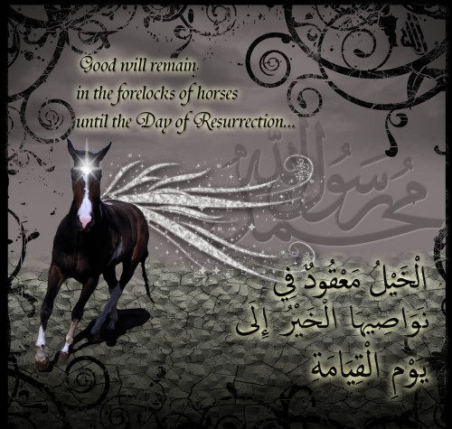 The one for whom they are a source of reward, is he who keeps a Horse for Allah's Cause [Jihad]